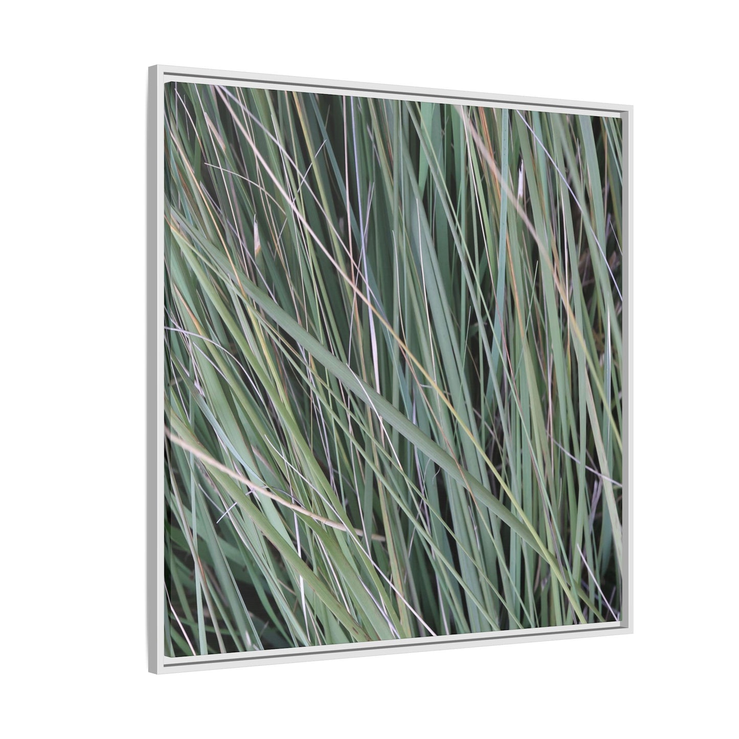 Grassland Symphony - Unique Stretched Canvas Wall Art - Art By Earth