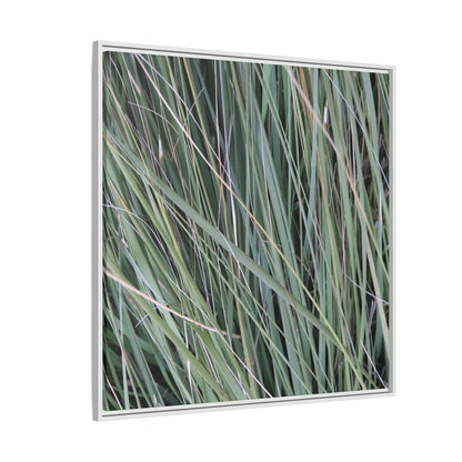 Grassland Symphony - Unique Stretched Canvas Wall Art - Art By Earth