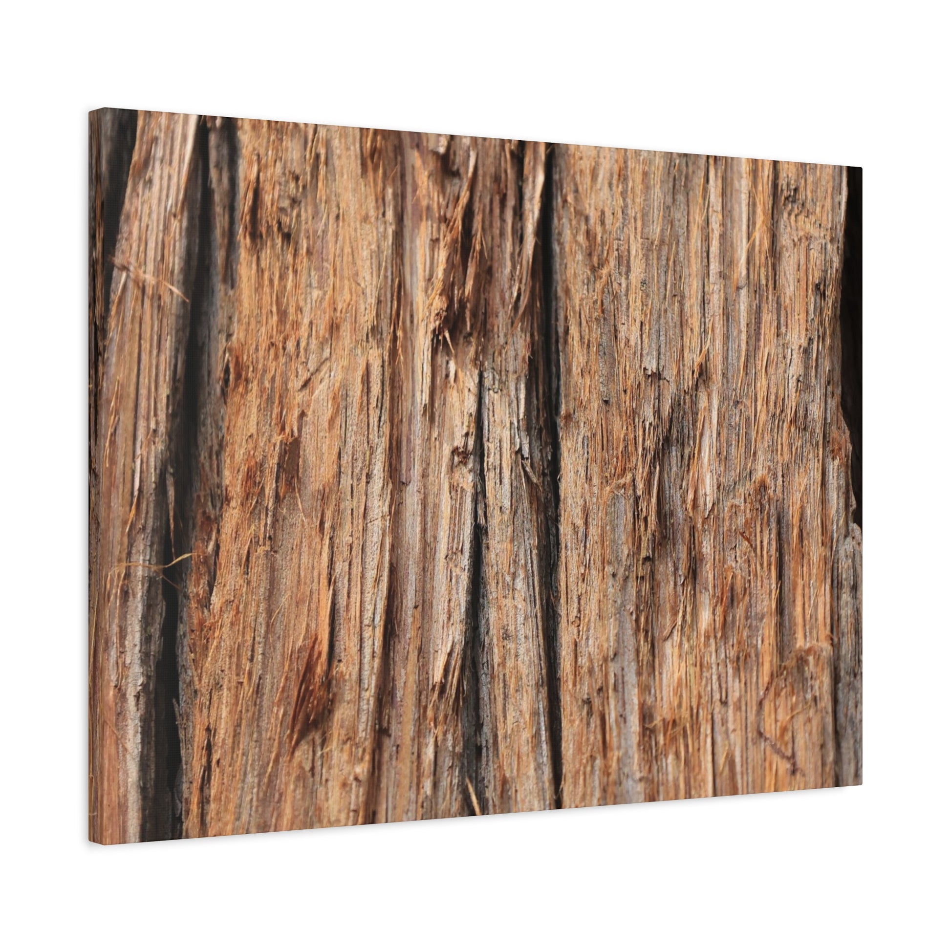 Woodland Echoes - Unique Frameless Canvas Wall Art - Art By Earth