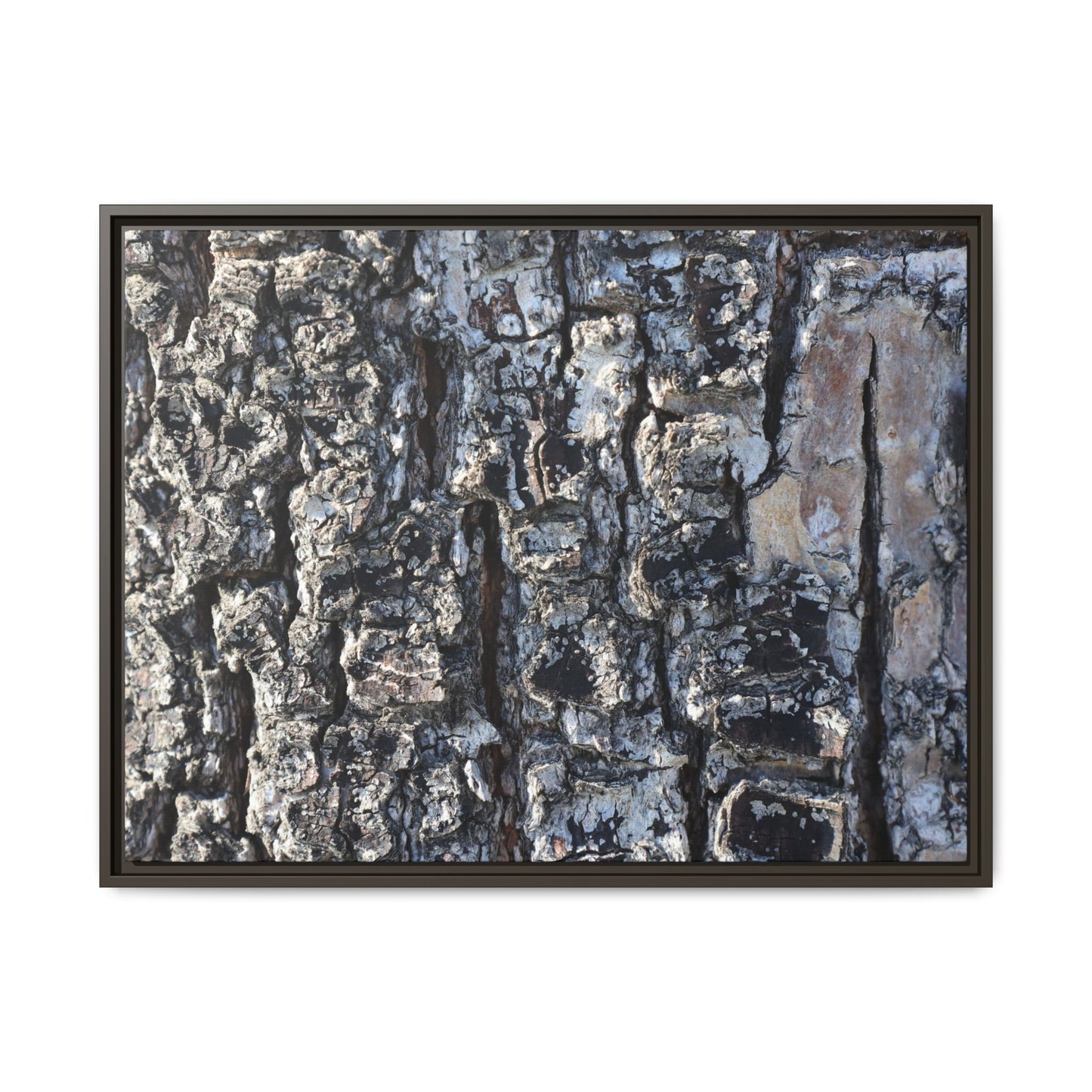 The Bark Chronicles - Unique Stretched Canvas Wall Art - Art By Earth