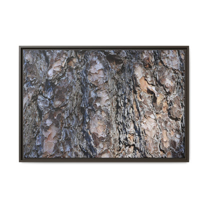 Weathered Patterns - Unique Stretched Canvas Wall Art - Art By Earth