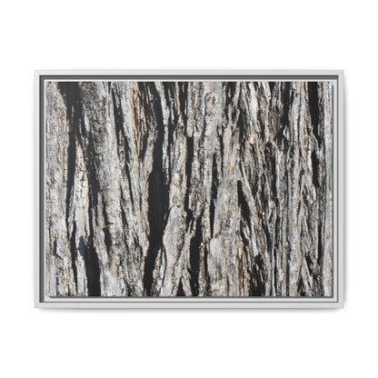 Bark Lines - Unique Stretched Canvas Wall Art - Art By Earth