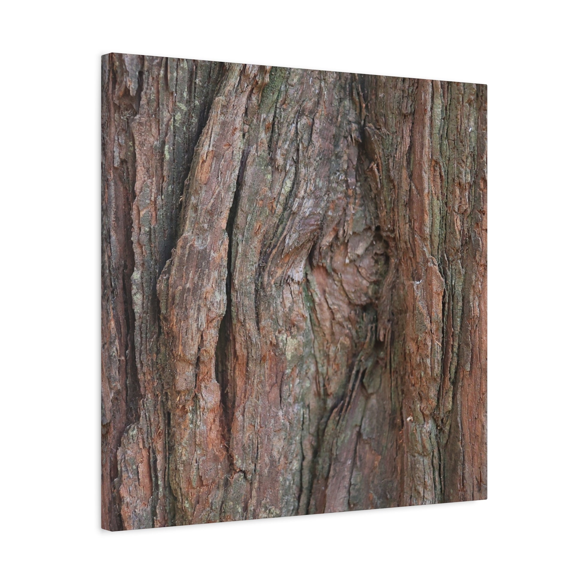 Rustic Embrace - Unique Frameless Canvas Wall Art - Art By Earth