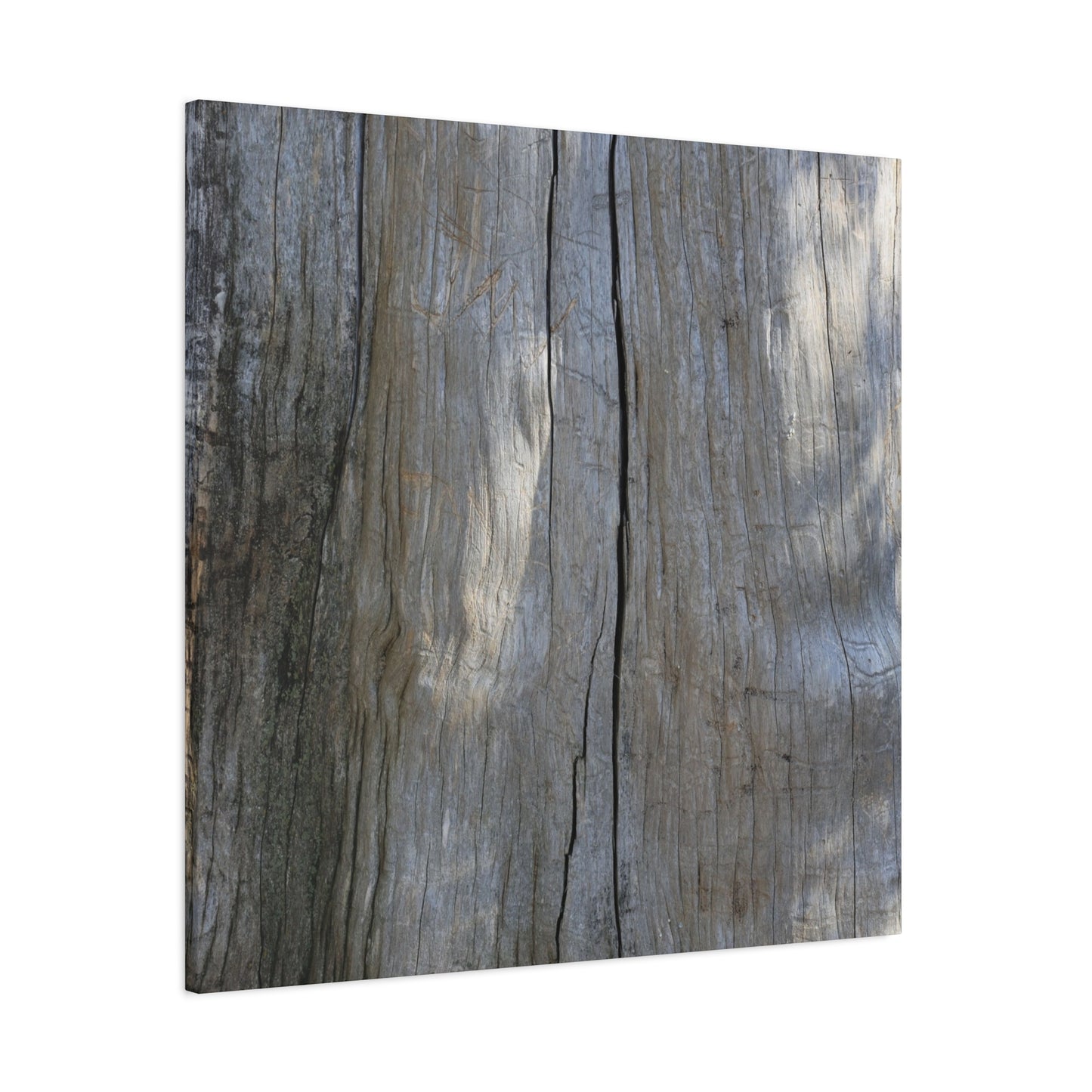 Split Log - Unique Frameless Canvas Wall Art