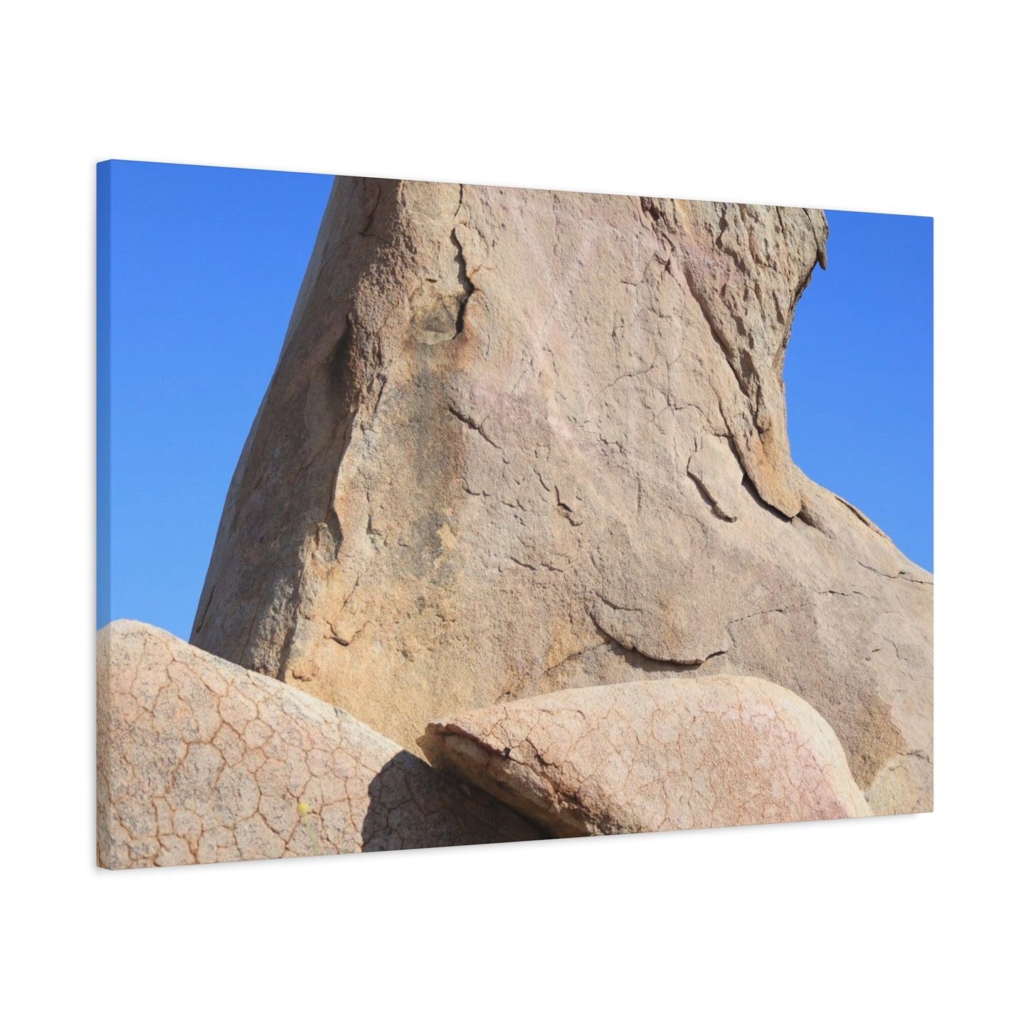 Boulder's Embrace - Unique Frameless Canvas Wall Art - Art By Earth