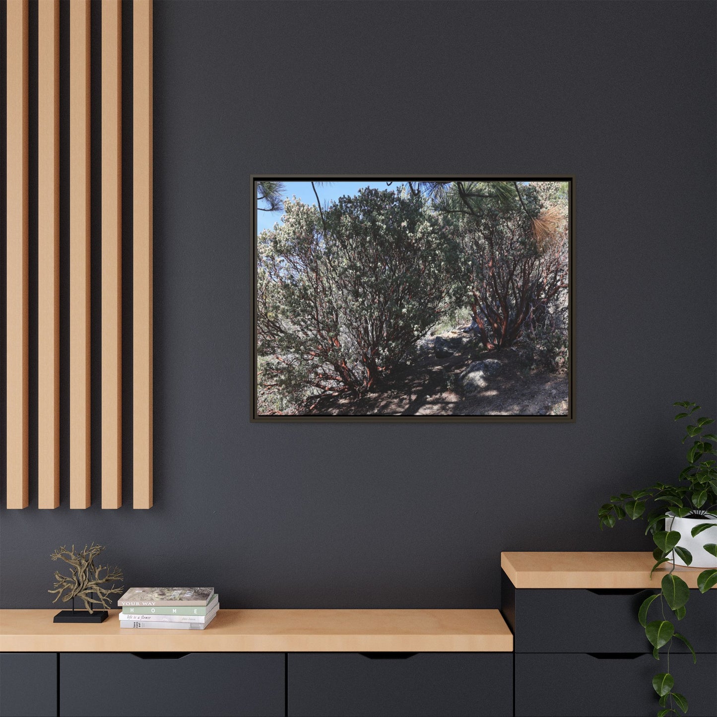 Desert Trail Through Blooming Manzanita - Unique Stretched Canvas Wall Art