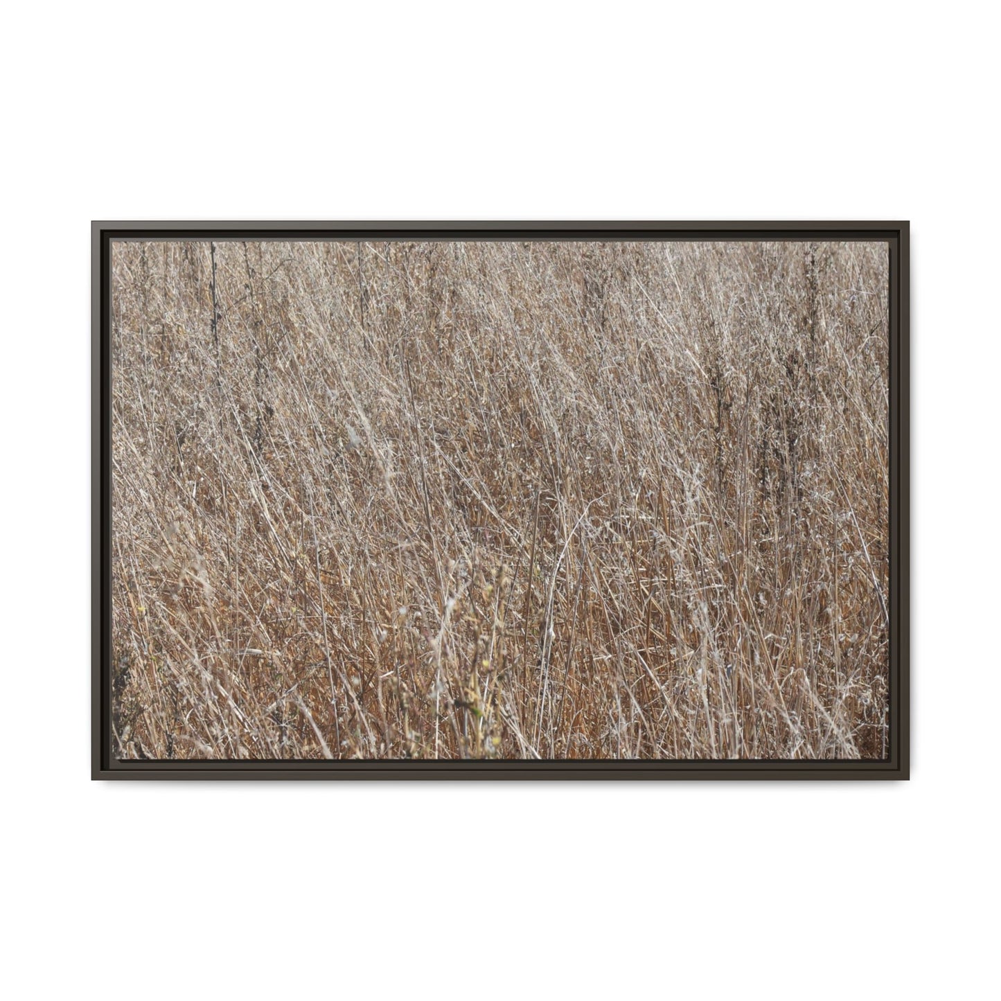 Whispers of Autumn - Unique Stretched Canvas Wall Art - Art By Earth