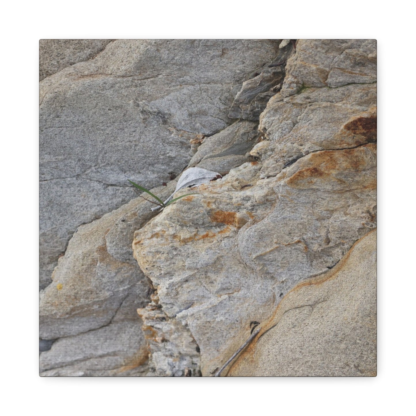 Fractal Earth - Unique Frameless Canvas Wall Art - Art By Earth