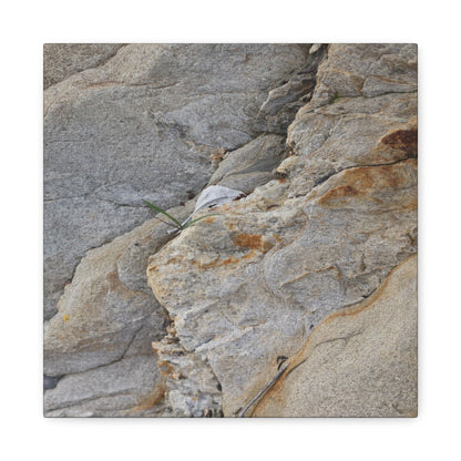 Fractal Earth - Unique Frameless Canvas Wall Art - Art By Earth