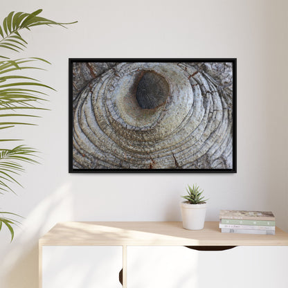 Echoes of Time - Unique Stretched Canvas Wall Art - Art By Earth