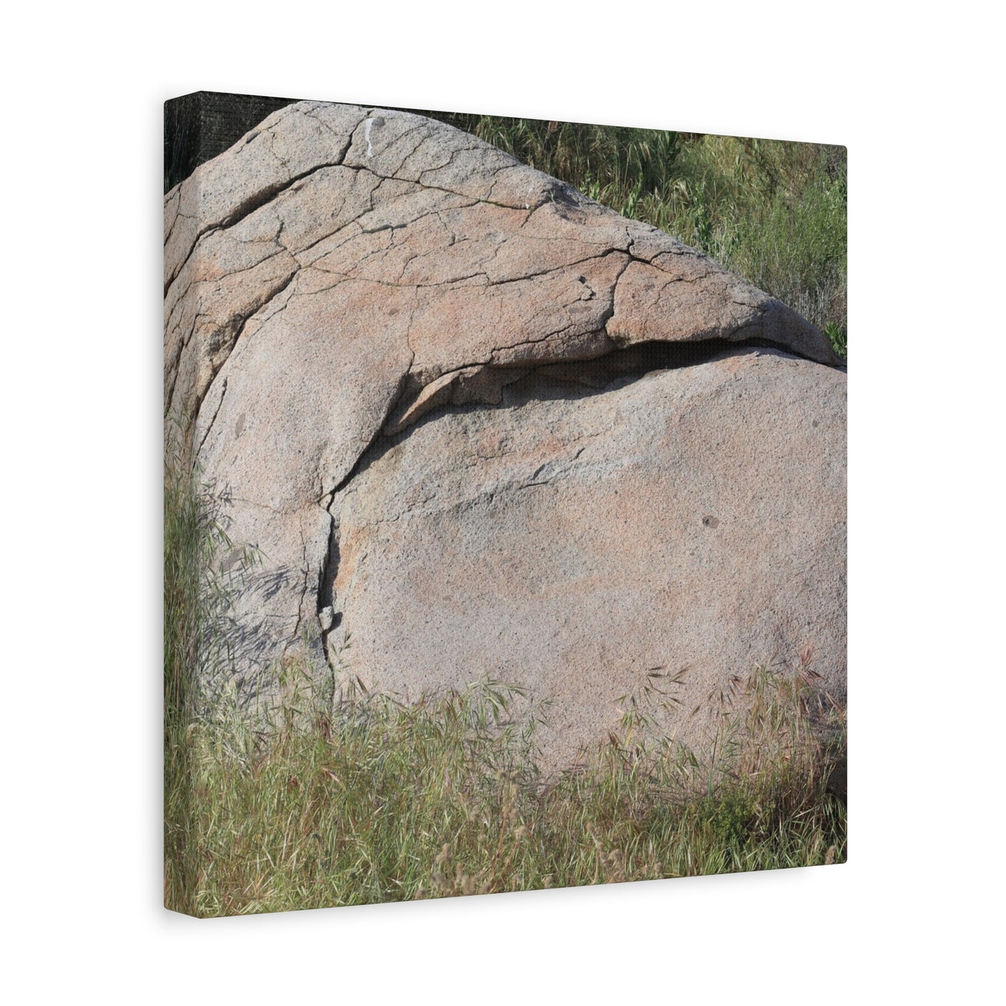 Granite Boulder in Desert Scrub - Unique Frameless Canvas Wall Art - Art By Earth