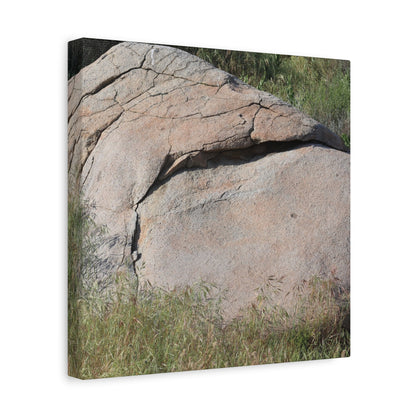 Granite Boulder in Desert Scrub - Unique Frameless Canvas Wall Art - Art By Earth