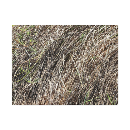 Tangled Wilderness - Unique Stretched Canvas Wall Art - Art By Earth