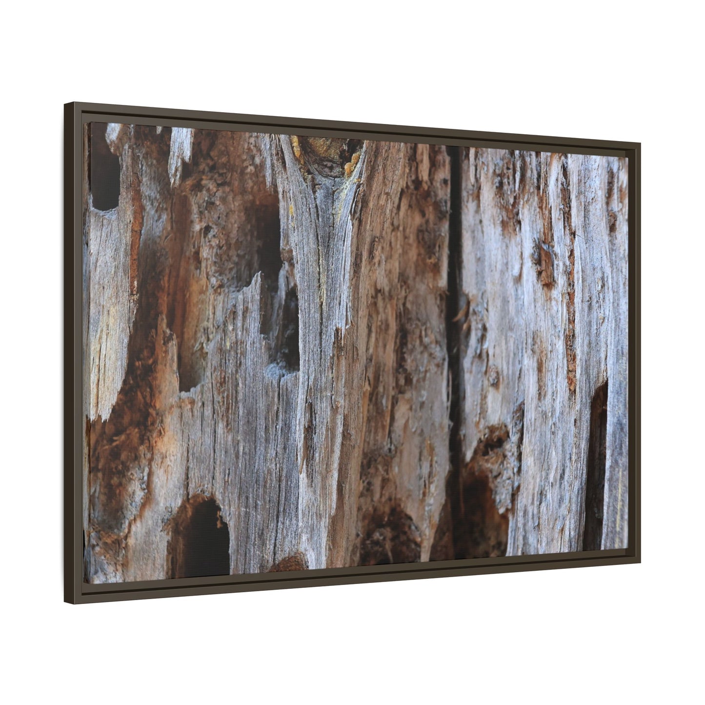 Decaying Splendor - Unique Stretched Canvas Wall Art - Art By Earth