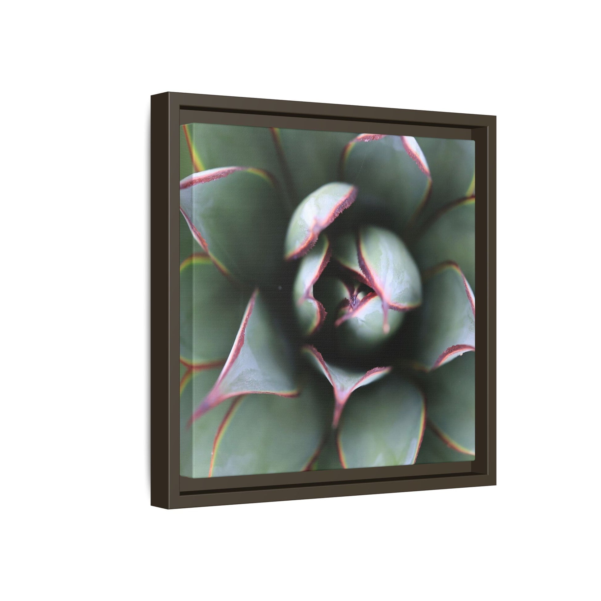 Spiky Elegance - Unique Stretched Canvas Wall Art - Art By Earth