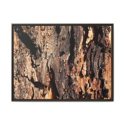 Rugged Beauty - Unique Stretched Canvas Wall Art - Art By Earth