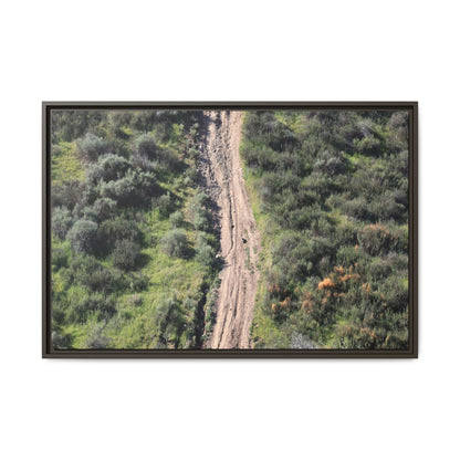 Desert Path Through Sage - Unique Stretched Canvas Wall Art - Art By Earth