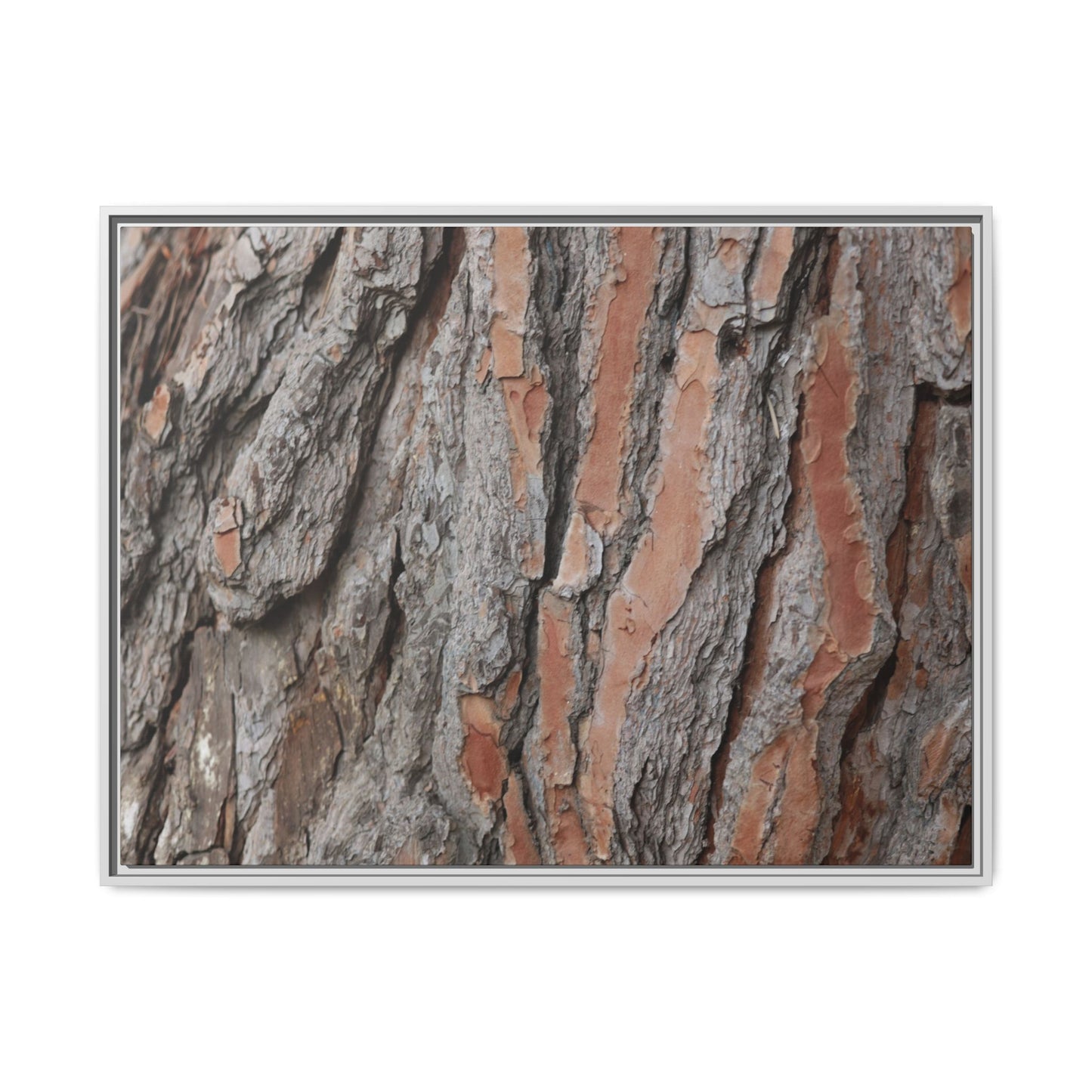 Woodland Layers - Unique Stretched Canvas Wall Art - Art By Earth