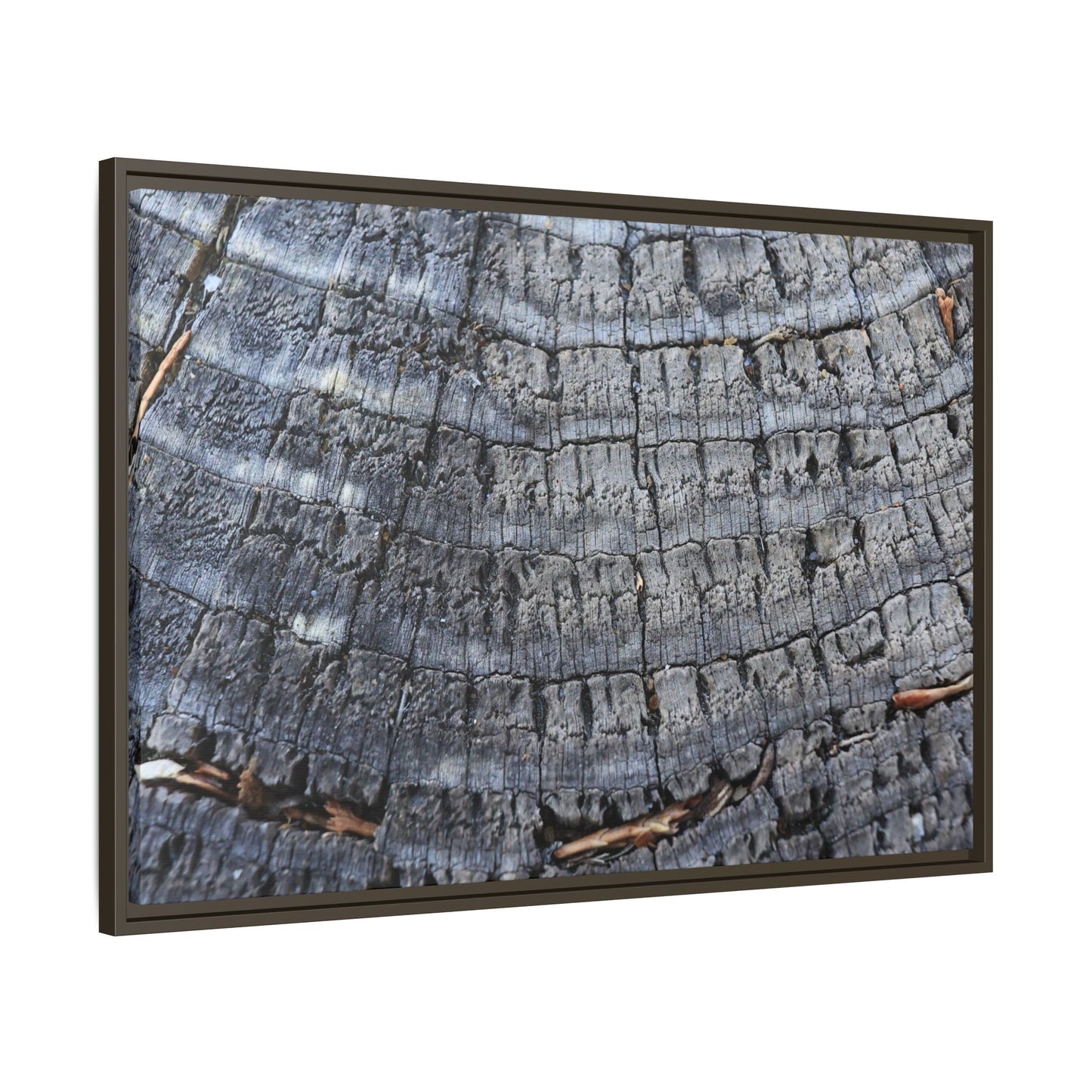 Charred Memories - Unique Stretched Canvas Wall Art - Art By Earth