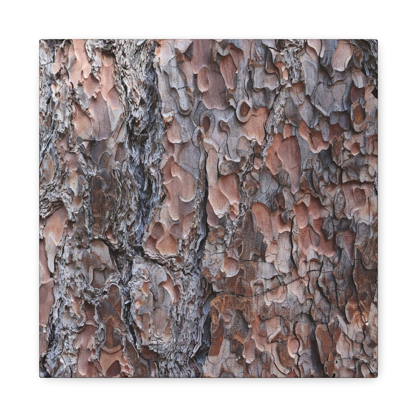Woodland Armor - Unique Frameless Canvas Wall Art - Art By Earth