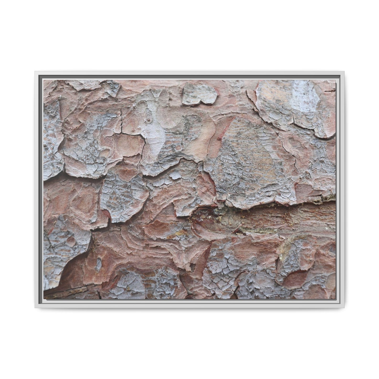 Flaking Serenity - Unique Stretched Canvas Wall Art - Art By Earth