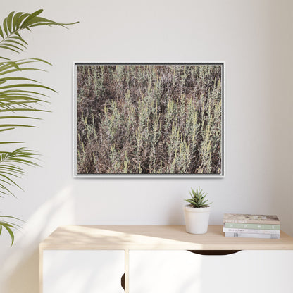 Sage Fields Forever - Unique Stretched Canvas Wall Art - Art By Earth