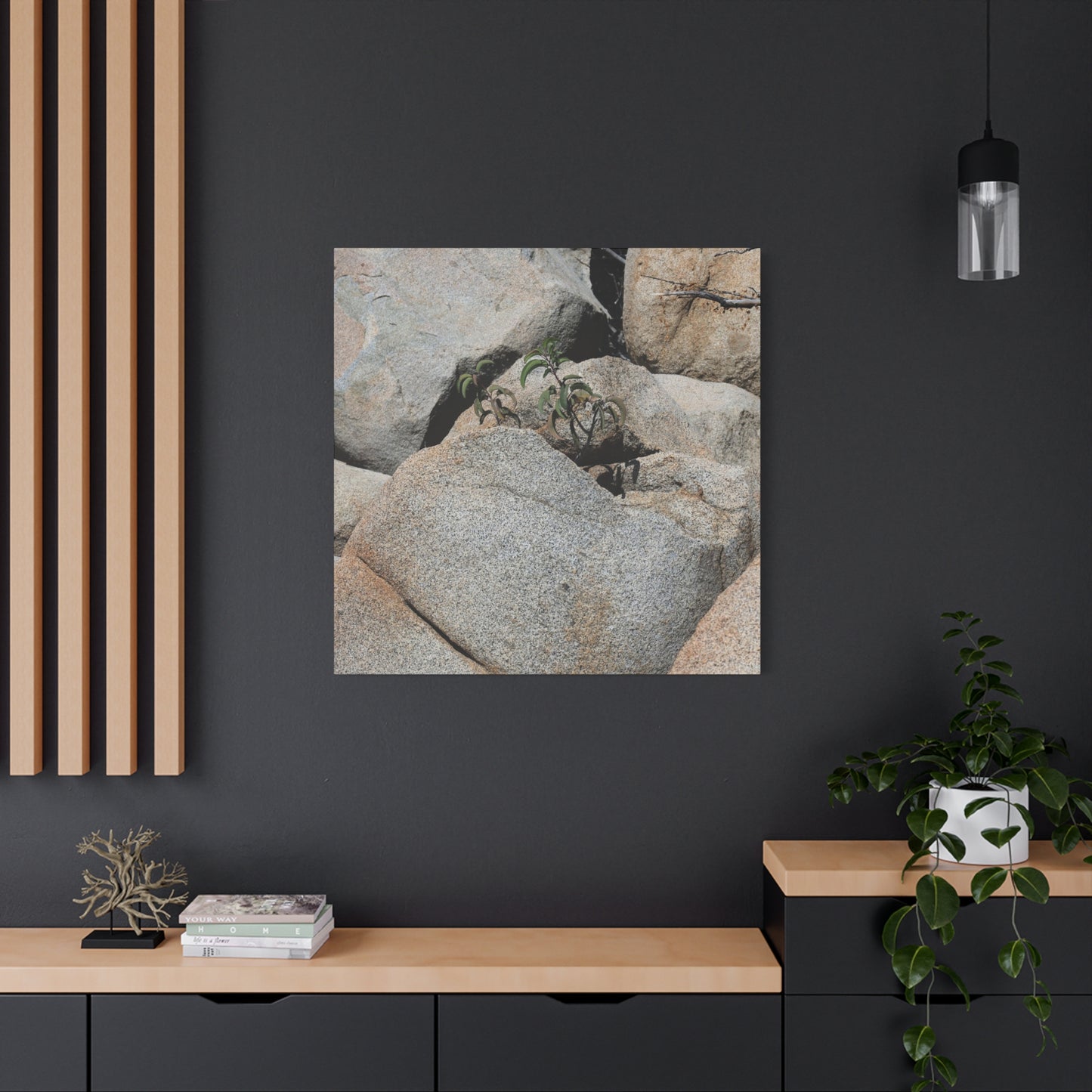 Desert Plant Survives - Unique Frameless Canvas Wall Art