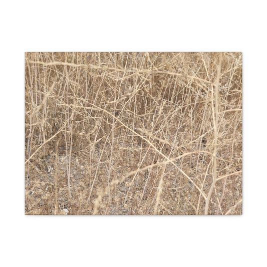 Dry Echoes - Unique Frameless Canvas Wall Art - Art By Earth