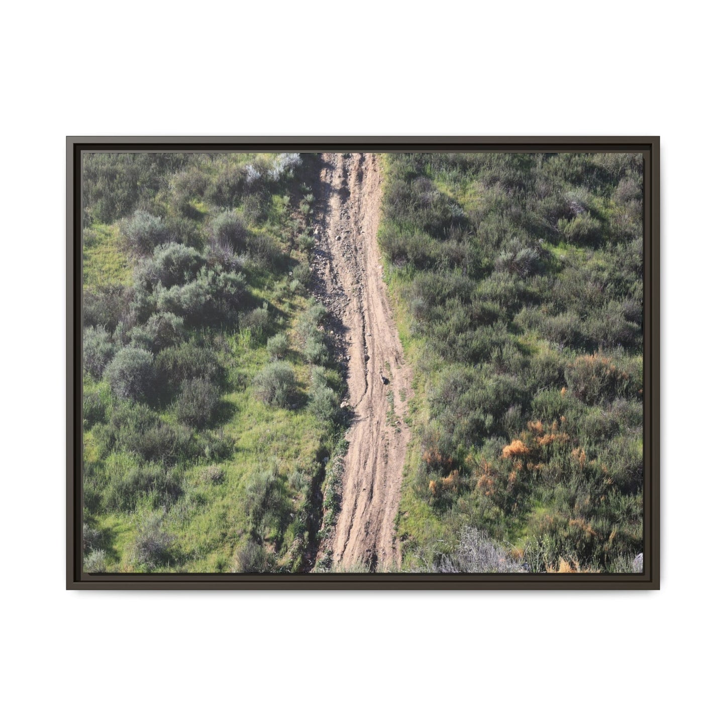 Desert Path Through Sage - Unique Stretched Canvas Wall Art - Art By Earth