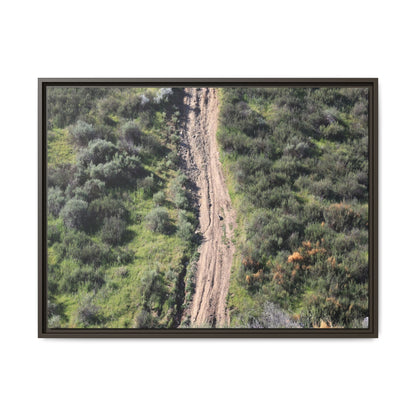 Desert Path Through Sage - Unique Stretched Canvas Wall Art - Art By Earth