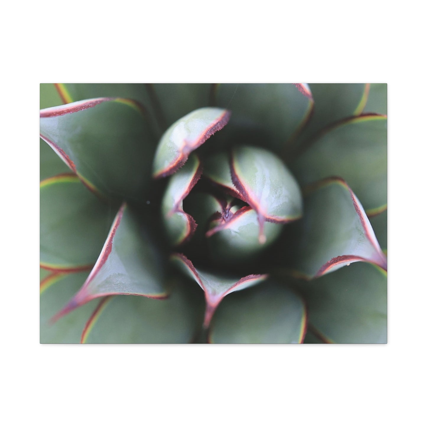 Emerald Spiral - Unique Frameless Canvas Wall Art - Art By Earth