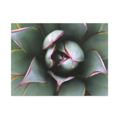 Emerald Spiral - Unique Frameless Canvas Wall Art - Art By Earth