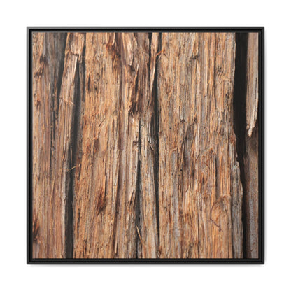 Timber Echoes - Unique Stretched Canvas Wall Art - Art By Earth