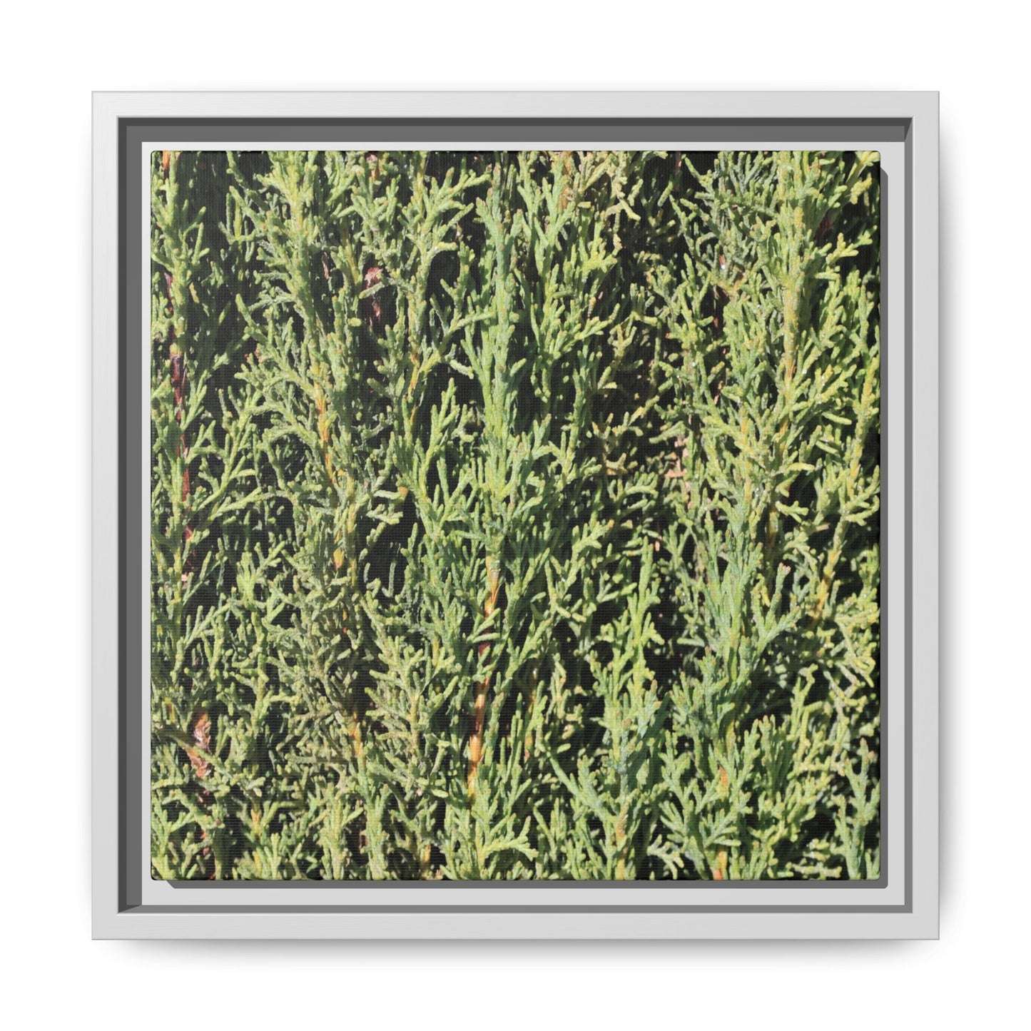 Emerald Labyrinth - Unique Stretched Canvas Wall Art - Art By Earth