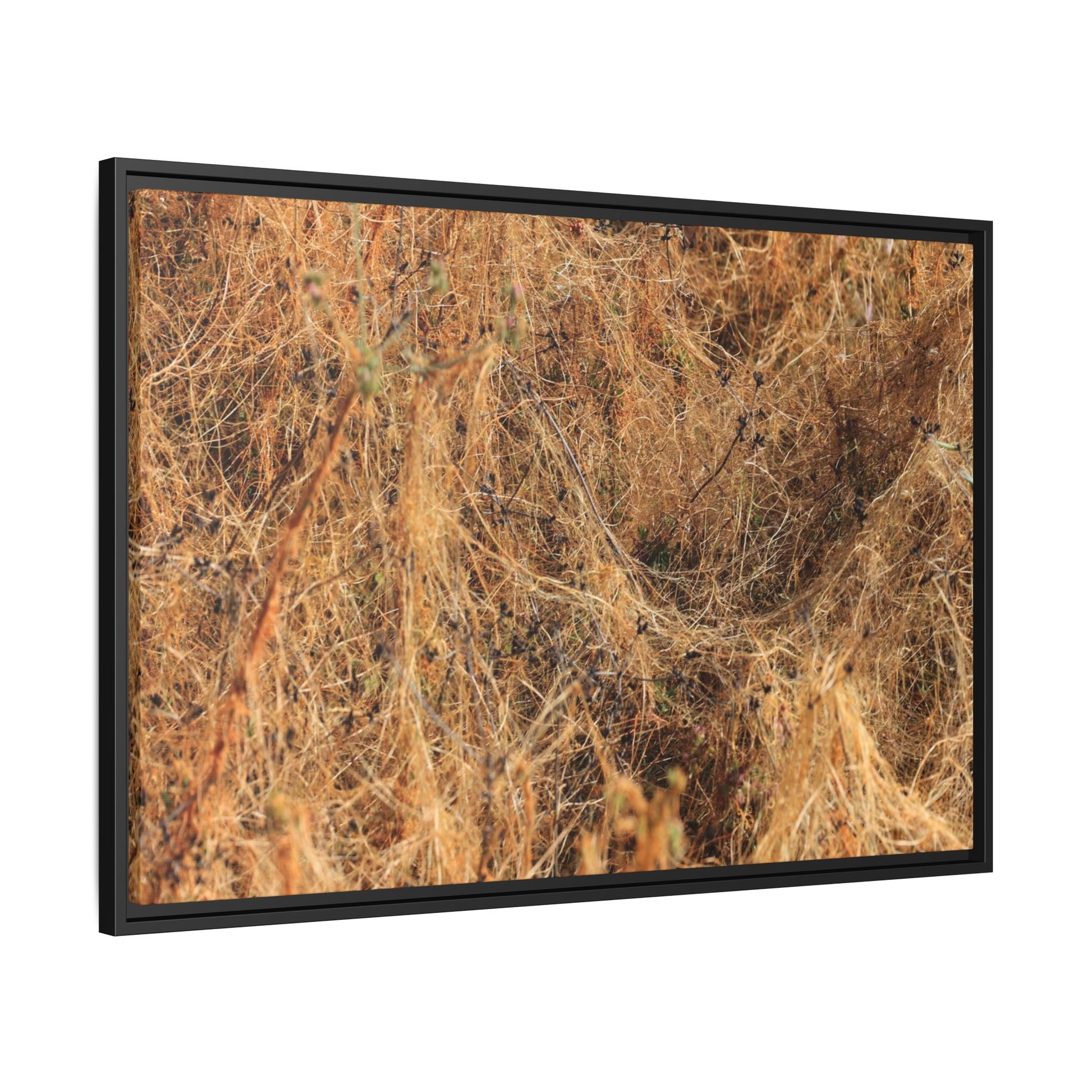 Dried Vegetation Study - Unique Stretched Canvas Wall Art - Art By Earth