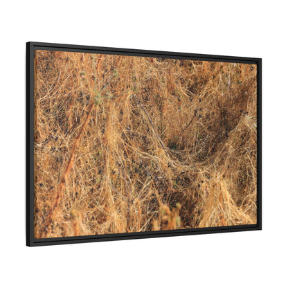 Dried Vegetation Study - Unique Stretched Canvas Wall Art - Art By Earth