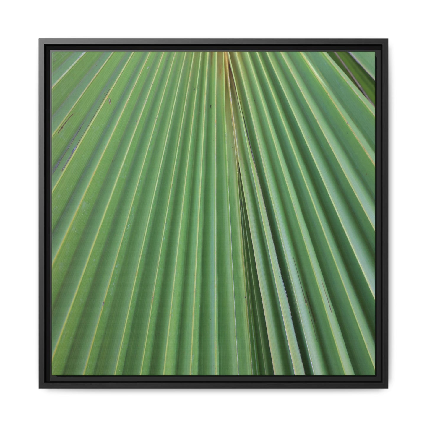 Verdant Veins - Unique Stretched Canvas Wall Art - Art By Earth