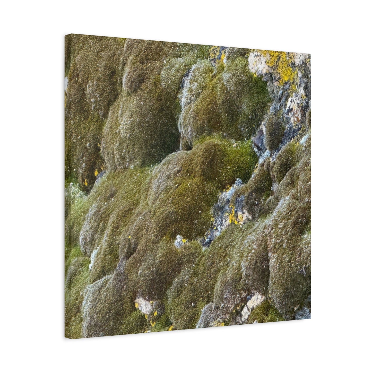 Verdant Stone Symphony - Unique Frameless Canvas Wall Art