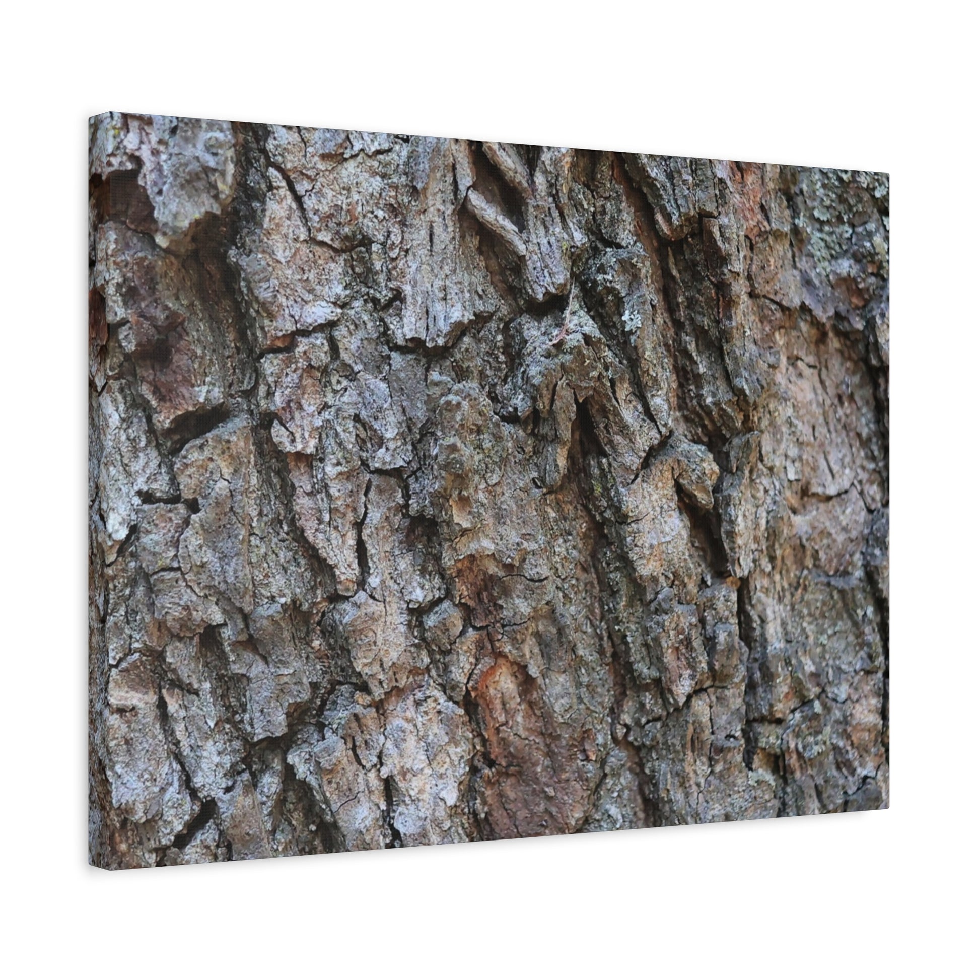 Rugged Canvas - Unique Frameless Canvas Wall Art - Art By Earth