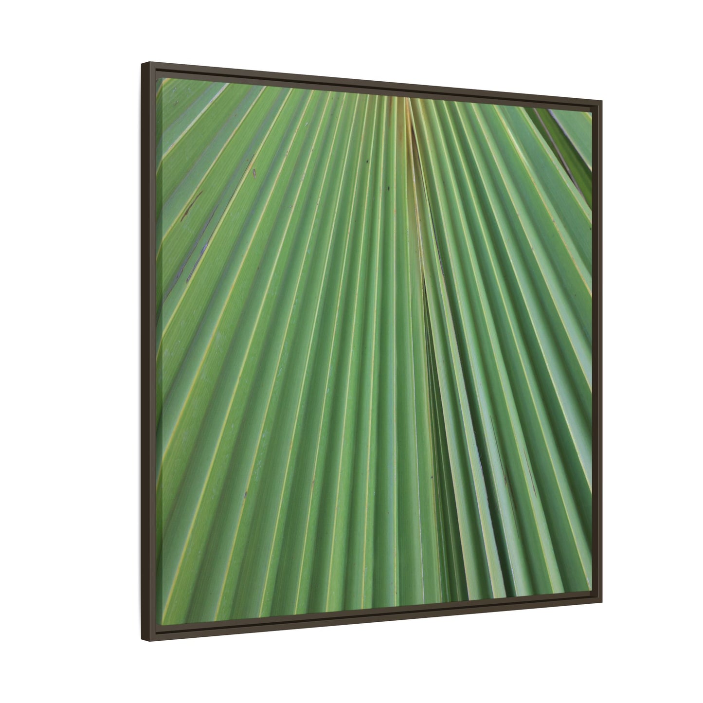 Verdant Veins - Unique Stretched Canvas Wall Art - Art By Earth