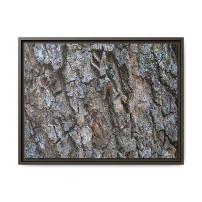 Woodland Skin - Unique Stretched Canvas Wall Art - Art By Earth