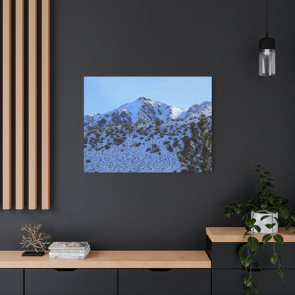 Snowy Peaks and Stoic Pines - Unique Frameless Canvas Wall Art