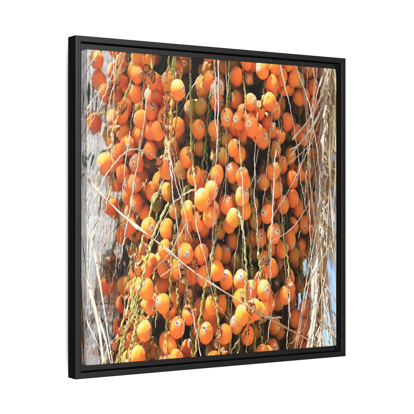 Clusters of Sunlight - Unique Canvas Wall Art - Art By Earth