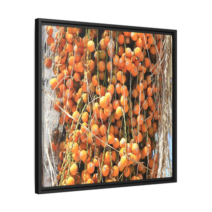 Clusters of Sunlight - Unique Canvas Wall Art - Art By Earth