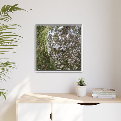 Lichen Landscape - Unique Stretched Canvas Wall Art - Art By Earth