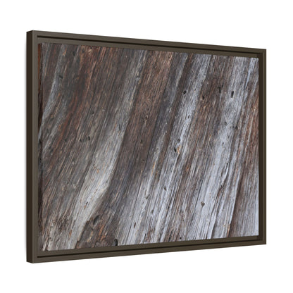 Aged Timber Texture - Unique Stretched Canvas Wall Art - Art By Earth