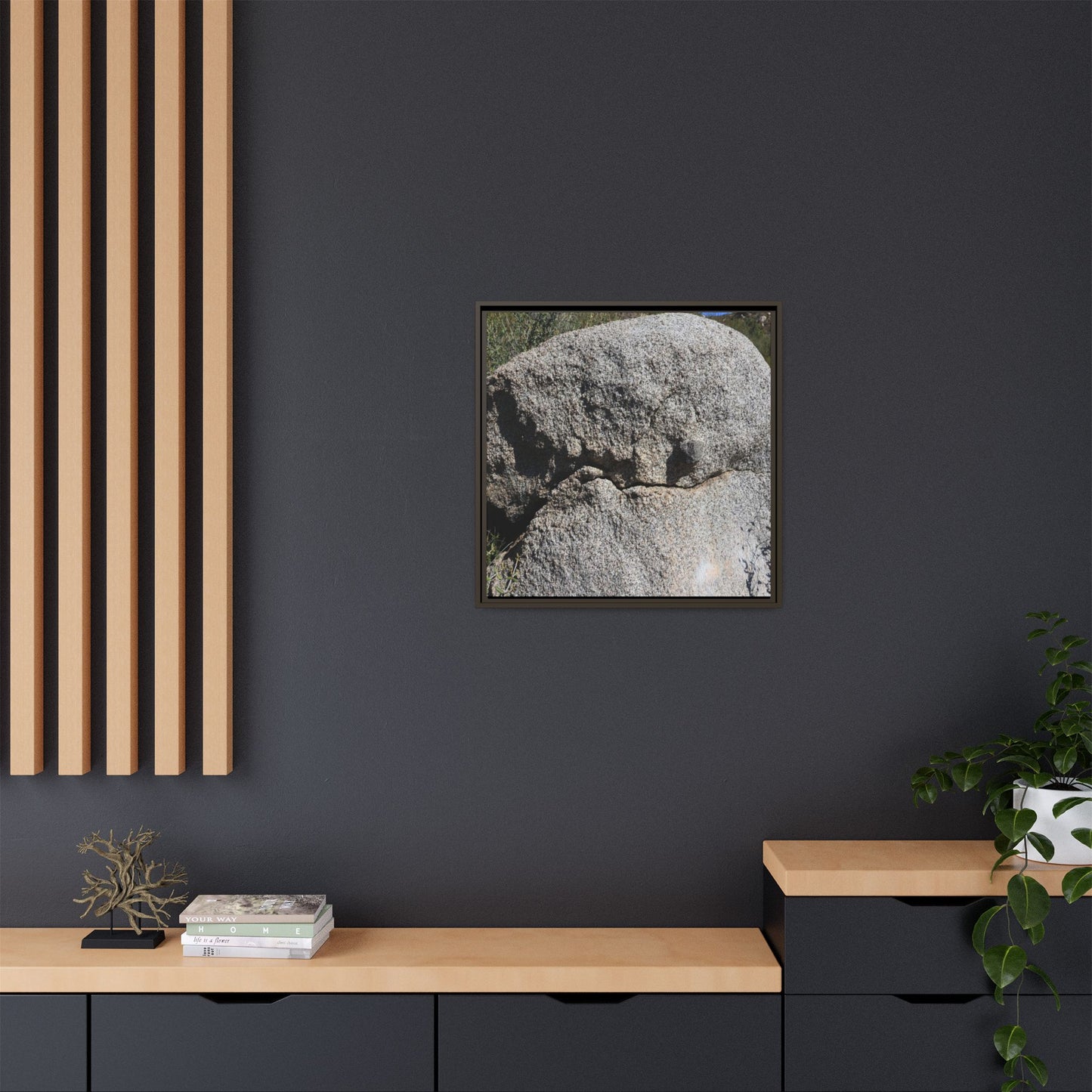 Stone Skull in Desert - Unique Stretched Canvas Wall Art