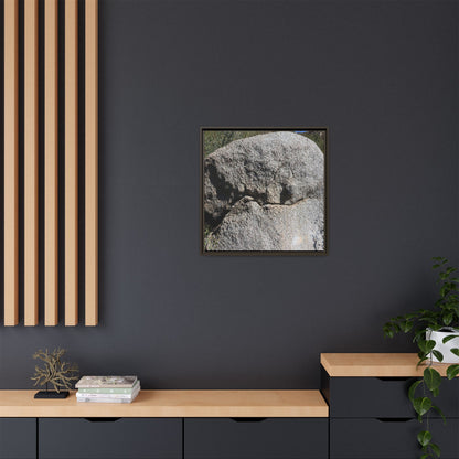 Stone Skull in Desert - Unique Stretched Canvas Wall Art