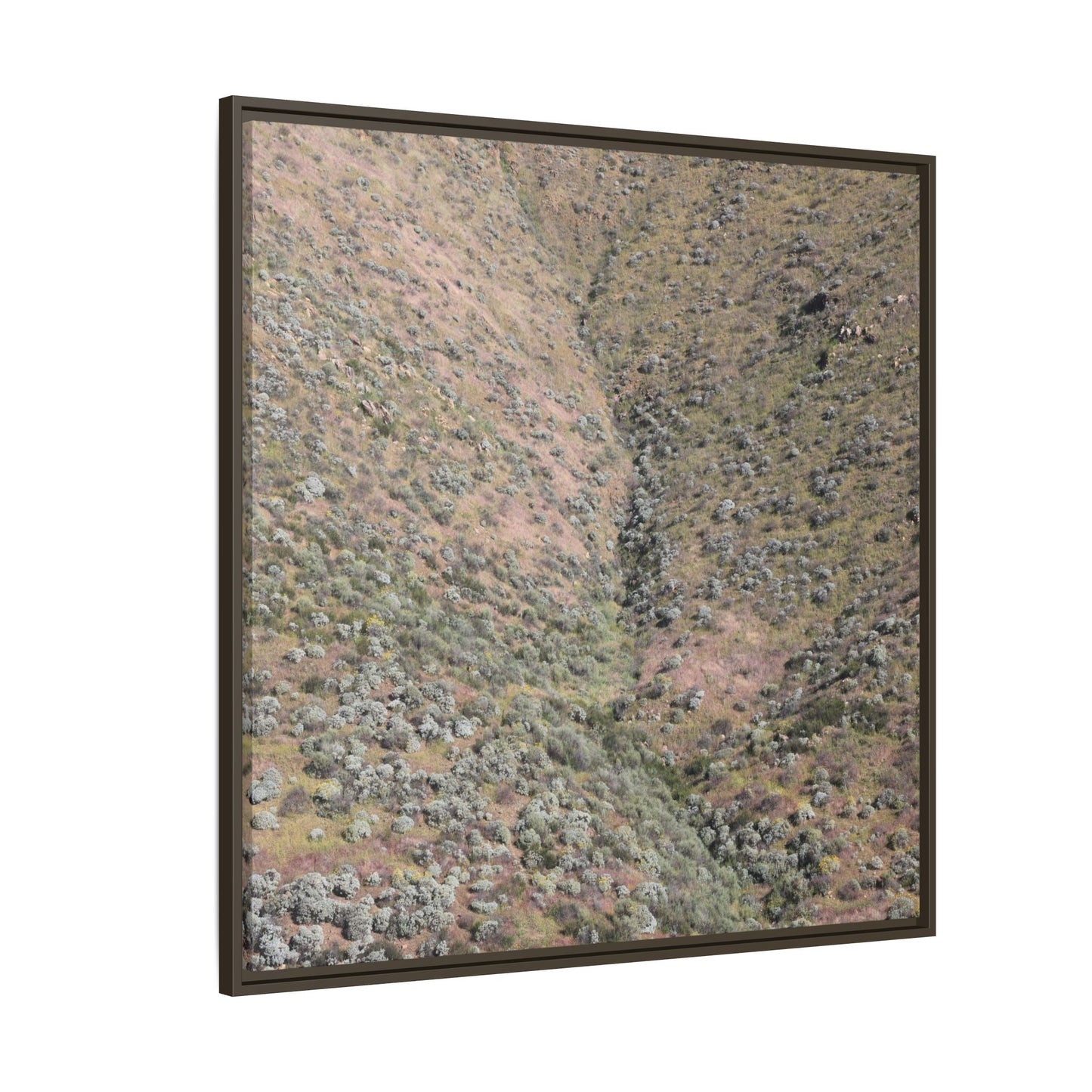 Mountain Slope with Desert Vegetation - Unique Stretched Canvas Wall Art - Art By Earth