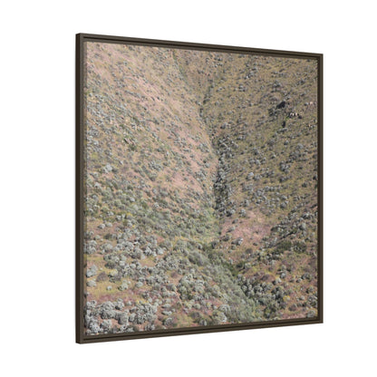 Mountain Slope with Desert Vegetation - Unique Stretched Canvas Wall Art - Art By Earth